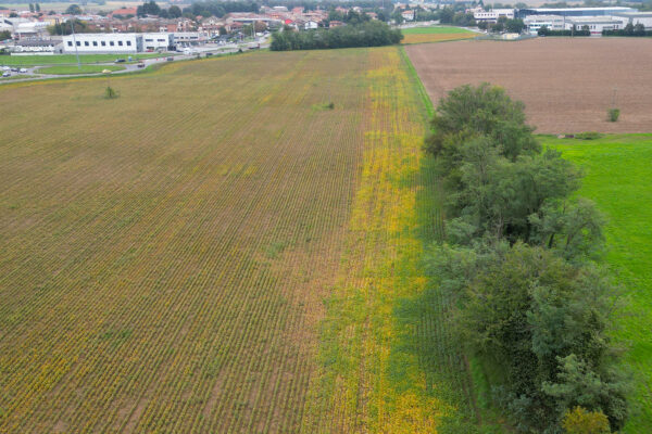 2 via risorgimento - fase 4